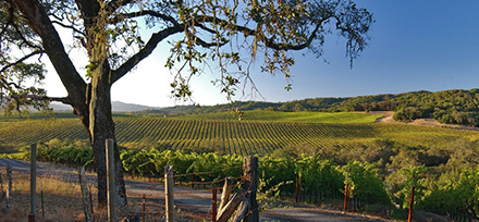 Sonoma County