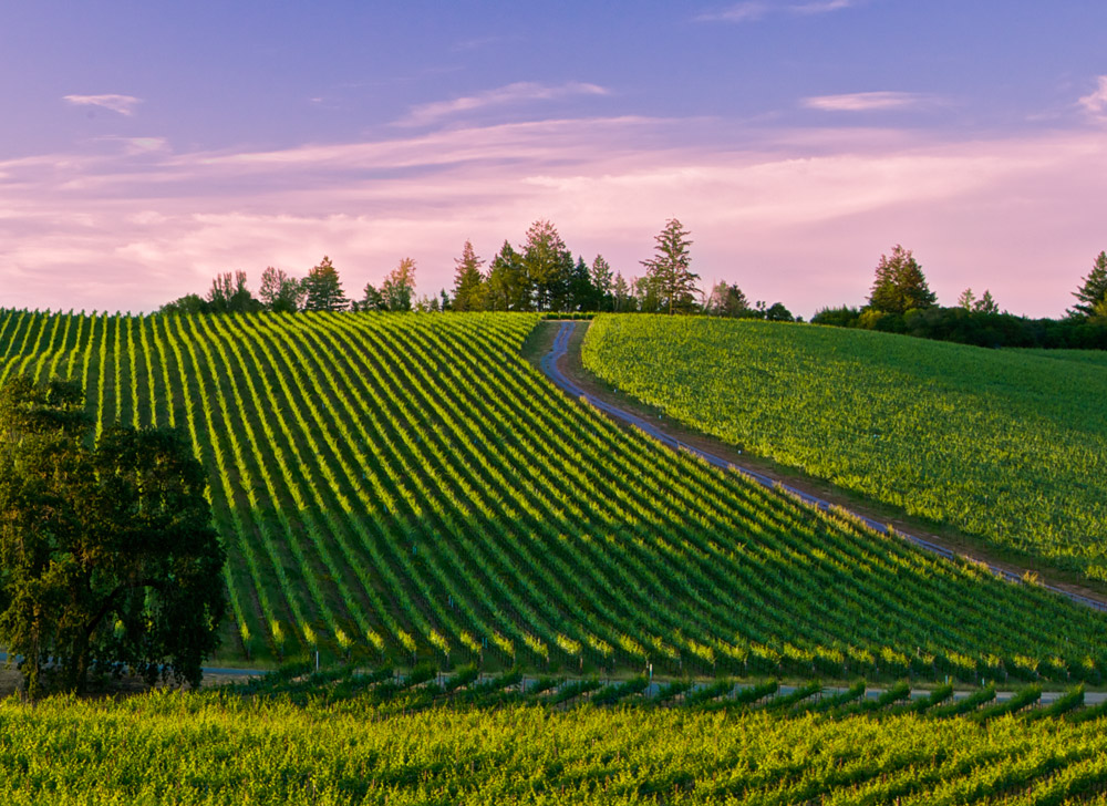 Russian River Valley